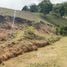  Terreno (Parcela) en venta en Cartago, Cartago, Cartago