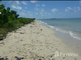  Terreno (Parcela) en venta en Pahunga Lodu, East Nusa Tenggara, Pahunga Lodu, Sumba Timur, East Nusa Tenggara