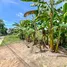  Land for sale in Pong, Pattaya, Pong, Pattaya, Chon Buri