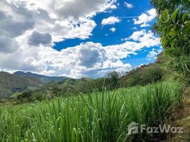  Terreno (Parcela) en venta en Ecuador, Quinara, Loja, Loja, Ecuador