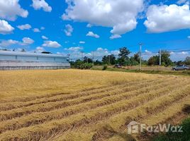  Land for sale in Loeng Nok Tha, Yasothon, Sam Yaek, Loeng Nok Tha