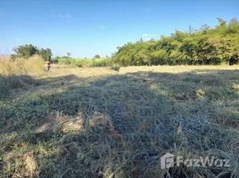  Terrain for sale in Loei, Si Than, Phu Kradueng, Loei