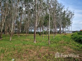  Land for sale in Mai Khao, Thalang, Mai Khao