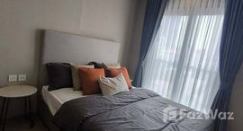 ยูนิตมือสองและให้เช่า