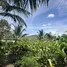 Land for sale in Taling Ngam, Surat Thani, Taling Ngam, Koh Samui