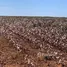  Terreno for sale in Indiavaí, Mato Grosso, Indiavaí