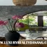 4 Schlafzimmer Haus zu vermieten im Euro Village, An Hai Tay