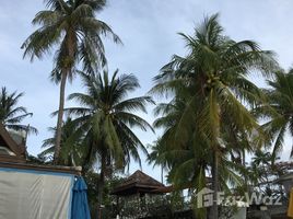 N/A Land for sale in Bo Phut, Koh Samui Stunning Beachfront View Land For Sale