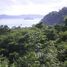  Land for sale in Carrillo, Guanacaste, Carrillo