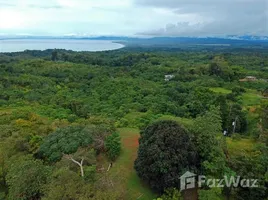  Земельный участок for sale in Puntarenas, Golfito, Puntarenas