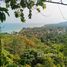  Grundstück zu verkaufen in Koh Samui, Surat Thani, Maret