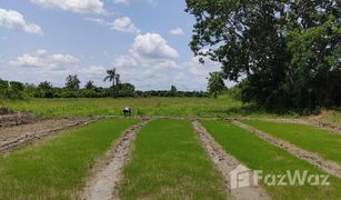 N/A Land for sale in Han Kaeo, Chiang Mai 