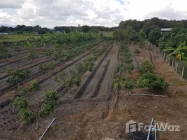 ขายที่ดิน ใน เวียง, เชียงราย, เวียง, เวียงป่าเป้า, เชียงราย