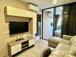 在Plum Condo Sukhumvit 97.1租赁的1 卧室 公寓, Bang Chak, 帕卡隆, 曼谷, 泰国