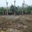  Land for sale in Wiang, Phrao, Wiang
