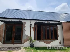 1 Schlafzimmer Haus zu vermieten in Decathlon Chiang Mai, Nong Pa Khrang, San Sai Noi