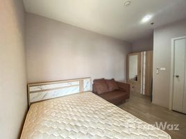 2 Bedroom Condo for rent at Plum Condo Ramkhamhaeng, Suan Luang