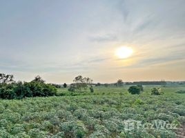 ขายที่ดิน ใน นิคมพัฒนา ระยอง, มะขามคู่, นิคมพัฒนา, ระยอง