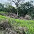 在哥斯达黎加出售的 土地, Mora, San Jose, 哥斯达黎加
