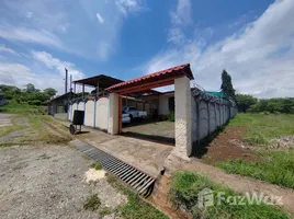 Maison 3 chambre à louer à Orotina, Alajuela, Orotina, Alajuela