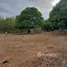  Terreno (Parcela) en venta en Santa Fe, Central Visayas, Santa Fe