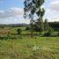  Terreno (Parcela) en venta en Rio Grande do Sul, Sapiranga, Sapiranga, Rio Grande do Sul