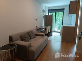 1 Bedroom Condo for rent at Arise Condo At Mahidol, Pa Daet, Mueang Chiang Mai, Chiang Mai