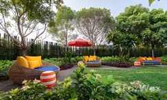 Photos 3 of the Communal Garden Area at HUB Hua Hin condominium