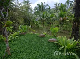  Land for sale in Phanom Surat Thani, Phanom, Phanom, Surat Thani