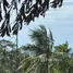  Terreno (Parcela) en venta en Maret, Surat Thani, Maret, Koh Samui, Surat Thani, Tailandia