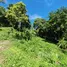  Terreno (Parcela) en venta en Maret, Surat Thani, Maret, Koh Samui, Surat Thani, Tailandia