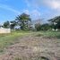  Land for sale in Pococi, Limon, Pococi