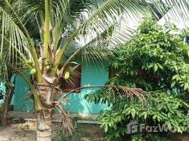 2 Bedroom House for sale in Kalasin, Bua Ban, Yang Talat, Kalasin