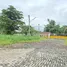 ขายที่ดิน ใน ลำลูกกา ปทุมธานี, คูคต