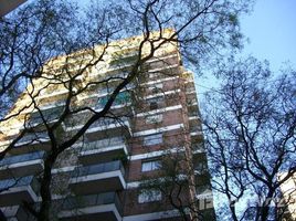 在BILLINGHURST al 2300租赁的1 卧室 住宅, Federal Capital, Buenos Aires