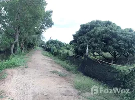  Grundstück zu verkaufen in Saraphi, Chiang Mai, Nong Faek, Saraphi