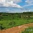  Land for sale in Thailand, Mae Khao Tom, Mueang Chiang Rai, Chiang Rai, Thailand