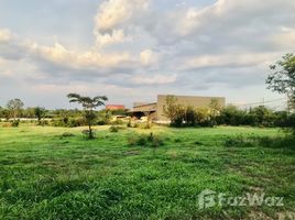  Land for sale in Makluea Kao, Nakhon Ratchasima, Makluea Kao, Sung Noen