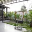 3 Habitación Villa en alquiler en Man Thai, Da Nang, Man Thai