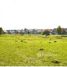  Land for sale at Valdivia, Mariquina, Valdivia, Los Rios