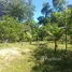 在FazWaz.cn出售的 土地, Anama, 亚马孙州, 巴西