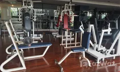 图片 2 of the Communal Gym at The Waterford Park Sukhumvit 53