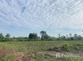  Land for sale in Phang Khon Sakon Nakhon, Ton Phueng, Phang Khon, Sakon Nakhon