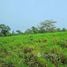  Land for sale in Perez Zeledon, San Jose, Perez Zeledon