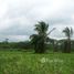  Land for sale in Esmeraldas, Bolivar, Muisne, Esmeraldas