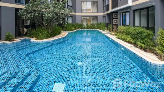 Photo 1 of the Communal Pool at The Urban Attitude
