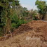  Grundstück zu verkaufen in Khao Chakan, Sa Kaeo, Khao Chakan