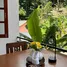 2 Bedroom House for rent in Patong, Phuket, Patong, Kathu, Phuket, Thailand
