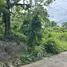  Land for sale in Puntarenas Puntarenas, Puntarenas, Puntarenas