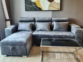 1 Bedroom Condo for rent at Touch Hill Place Elegant, Chang Phueak, Mueang Chiang Mai, Chiang Mai